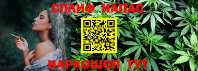 прущие крисы Гатчина
