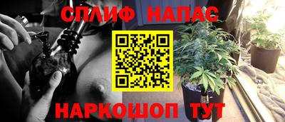 кокаин Гай